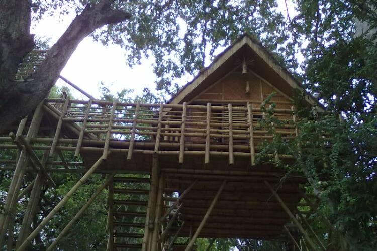 Bheemeshwari Jungle Lodge, Mandya 1